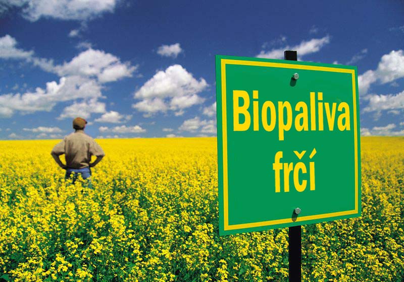 biopaliva frčí